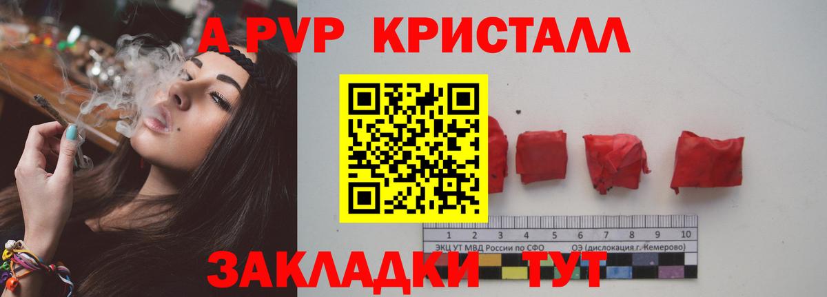 Ачхой-Мартан  A-PVP  Альфа ПВП СК КРИС  Вход с VPN  A PVP СК 