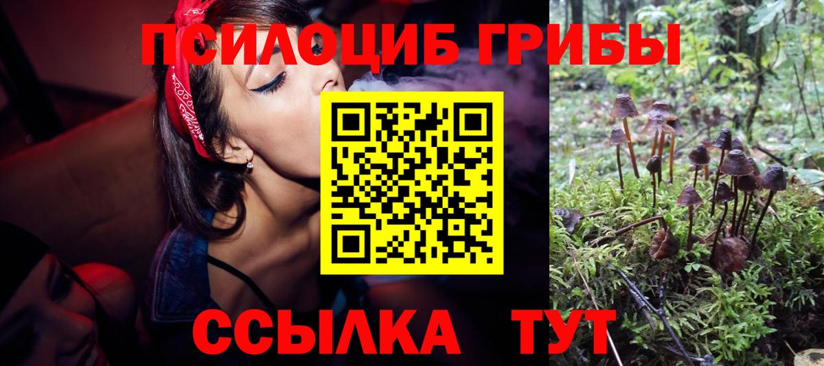 Галлюциногенные грибы Psilocybe  Псилоцибиновые грибы мицелий  сколько стоит  Вход с VPN  Ачхой-Мартан 
