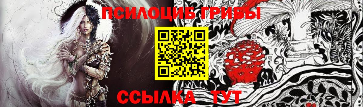 Псилоцибиновые грибы GOLDEN TEACHER Ачхой-Мартан