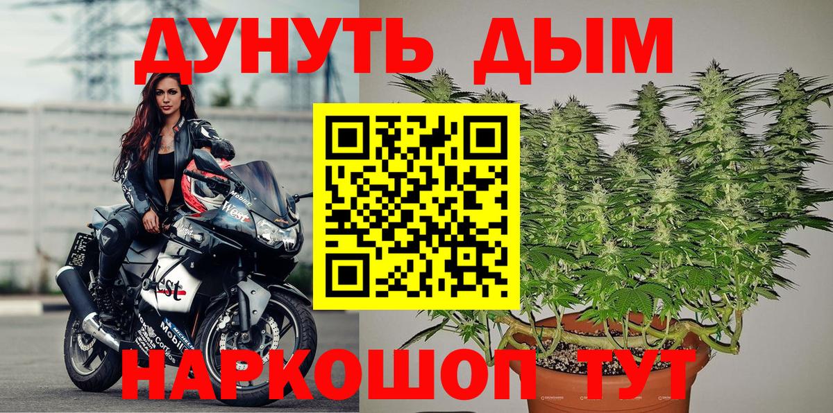 Бошки Шишки Amnesia Ачхой-Мартан